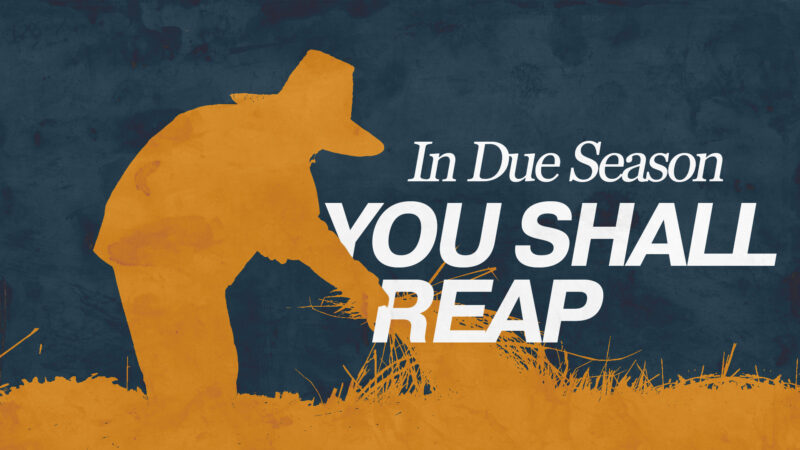 In Due Season You Shall Reap Image