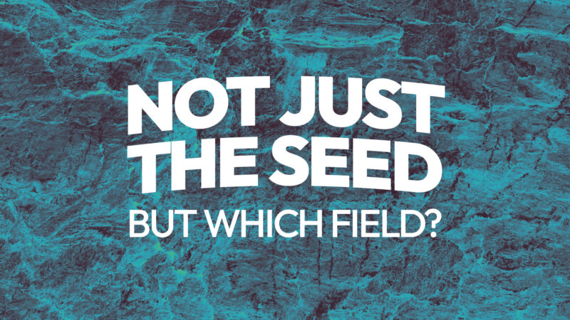 Not Just The Seed - But Which Field? Image