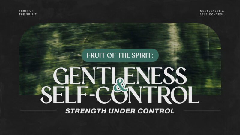 Fruit of the Spirit 10: Gentleness and Self-Control Image