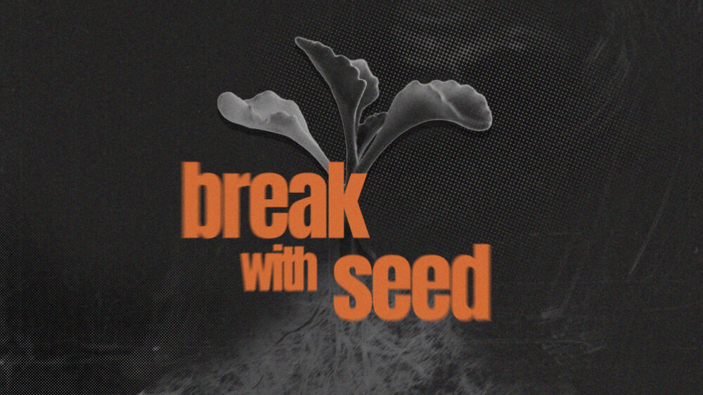 Break With Seed - 2 Image