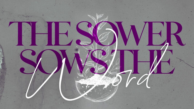 The Sower Sows The Word Image