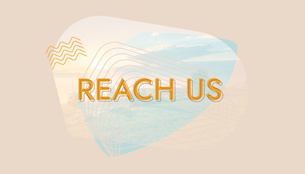 Reach Us New Life